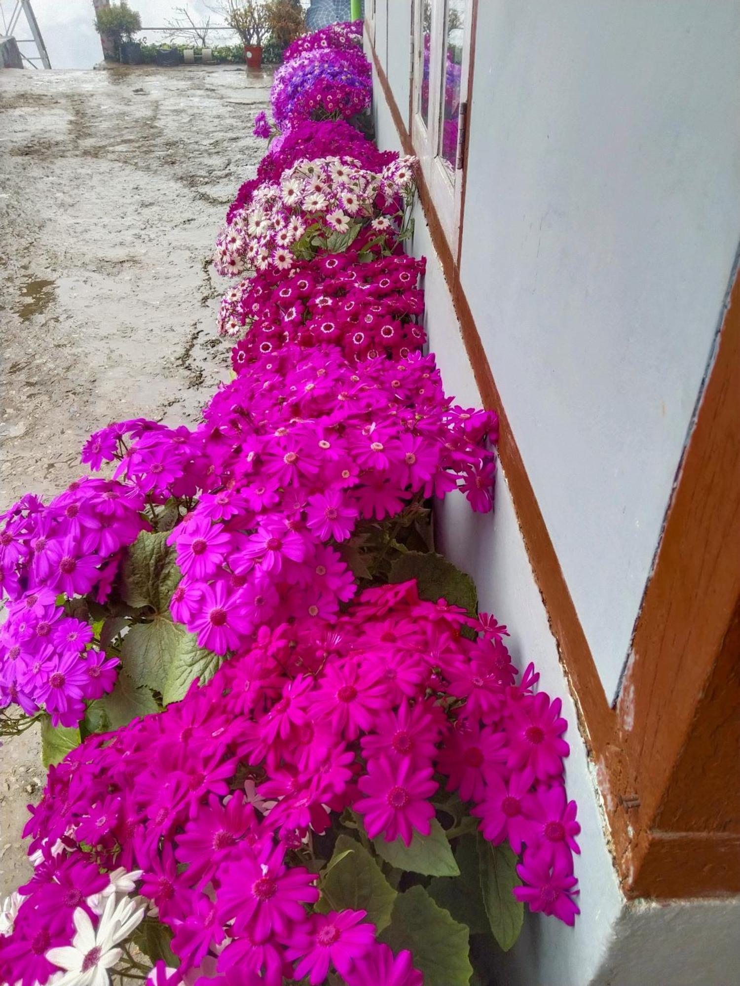 The Himalayan Resort Ravangla Екстериор снимка