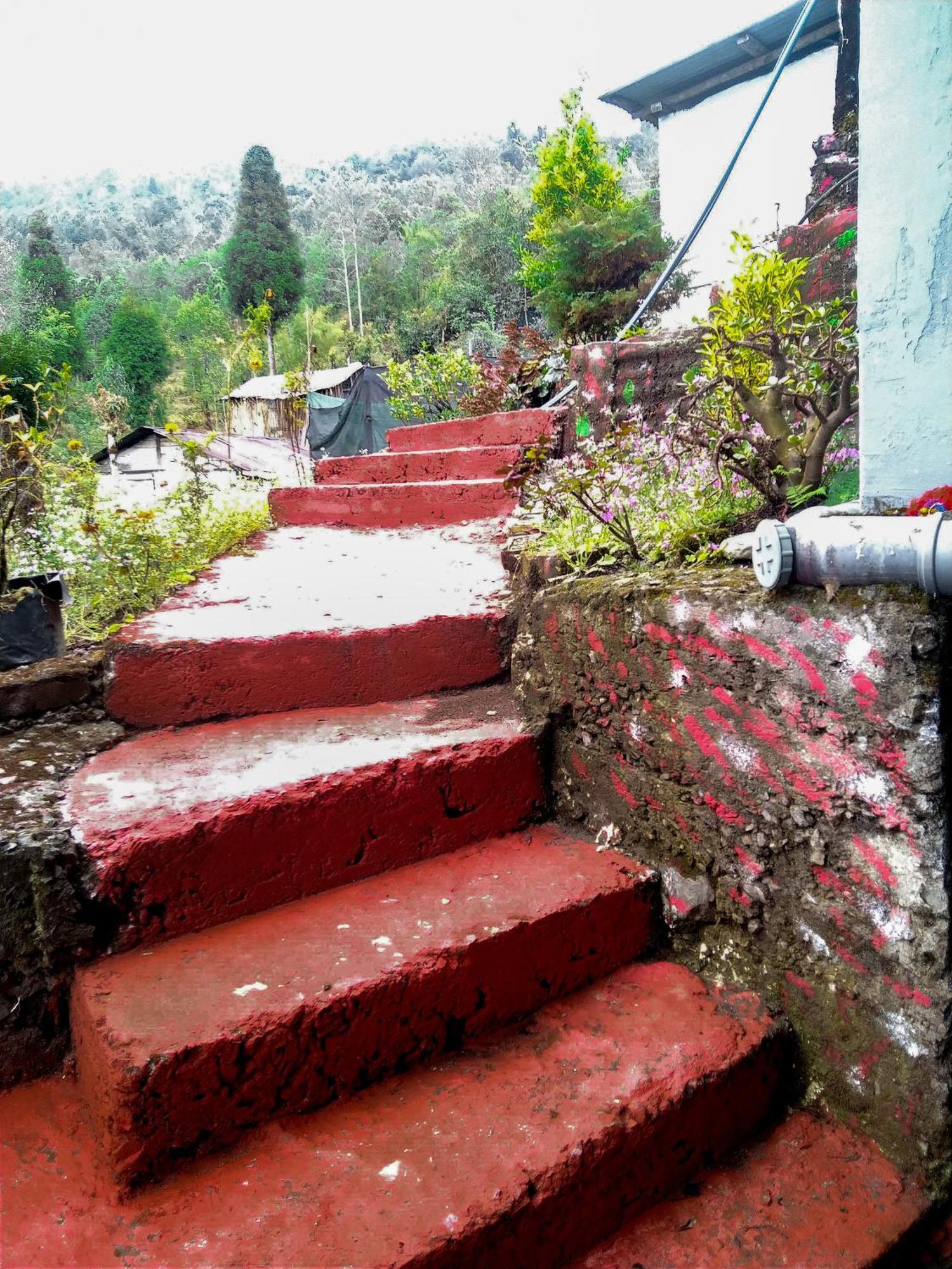 The Himalayan Resort Ravangla Екстериор снимка